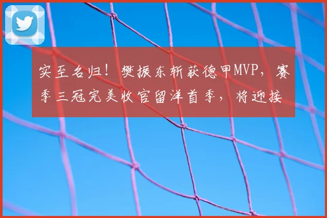 实至名归！樊振东斩获德甲MVP，赛季三冠完美收官留洋首季，将迎接新的挑战_达科_队友_最有价值球员